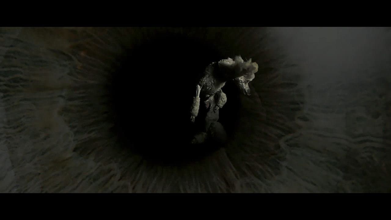 The Visit