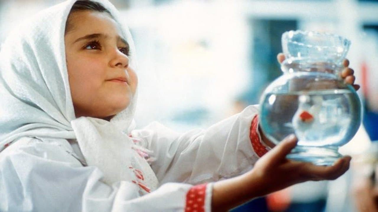 بادکنک سفید