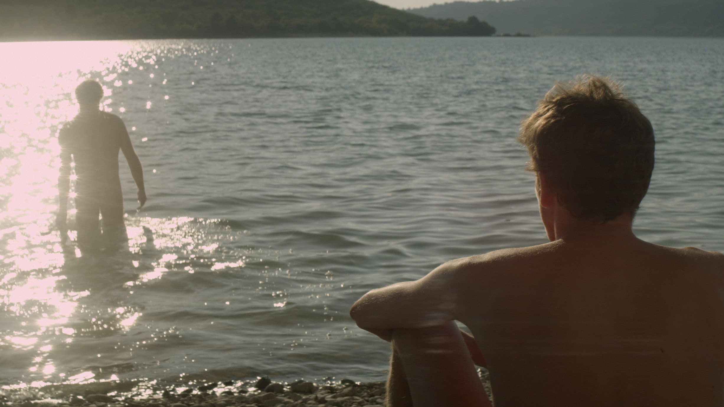 L'Inconnu du lac