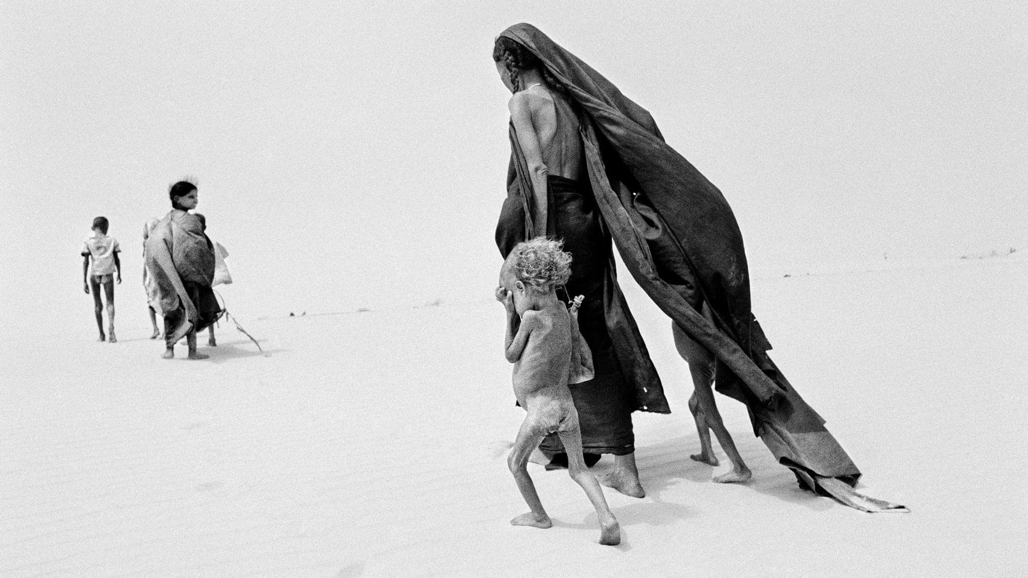 Le sel de la terre