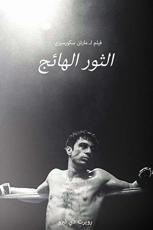 الثور الهائج