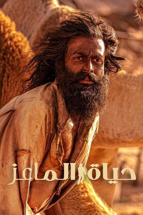 حياة الماعز