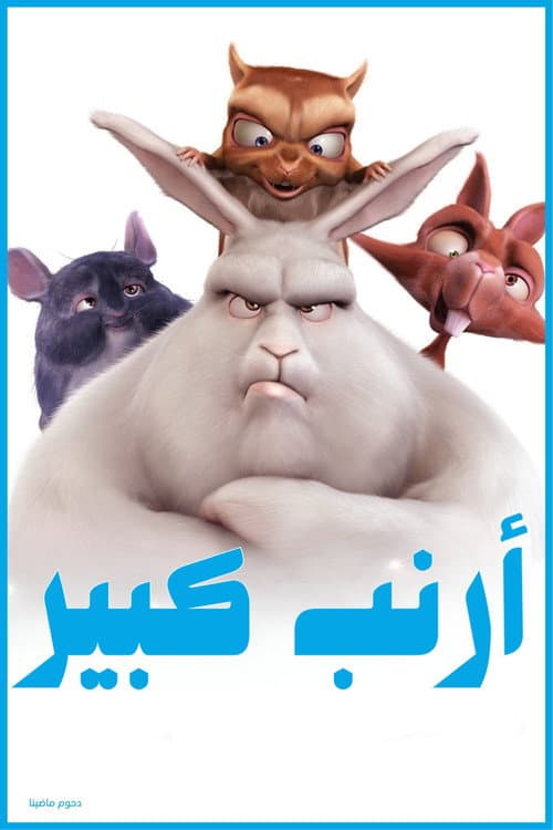 أرنب كبير