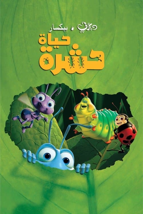 حياة حشرة