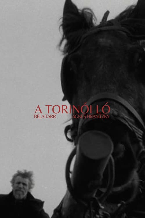 A torinói ló