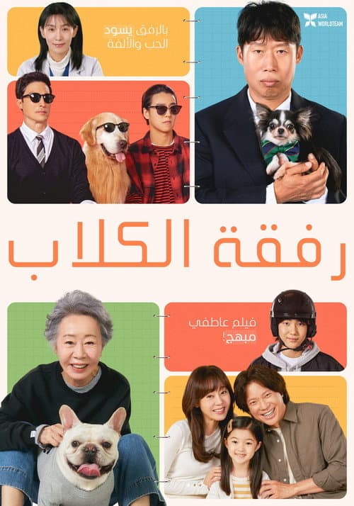 도그데이즈