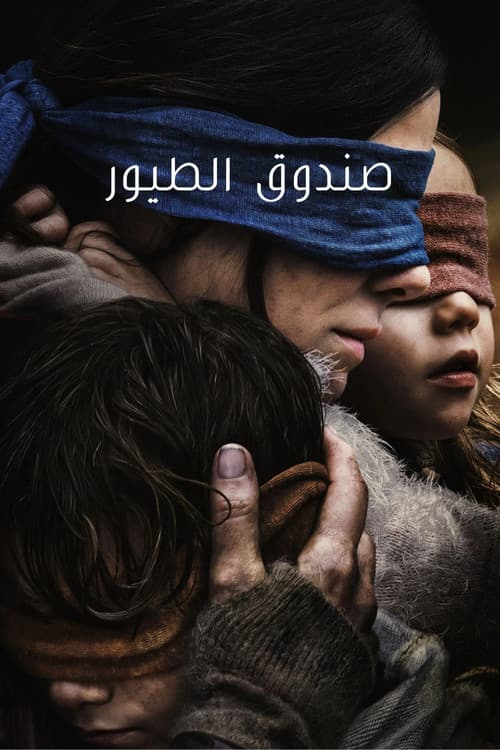 صندوق الطيور