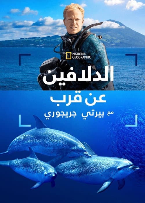 الدلافين عن قرب مع بيرتي غريغوري