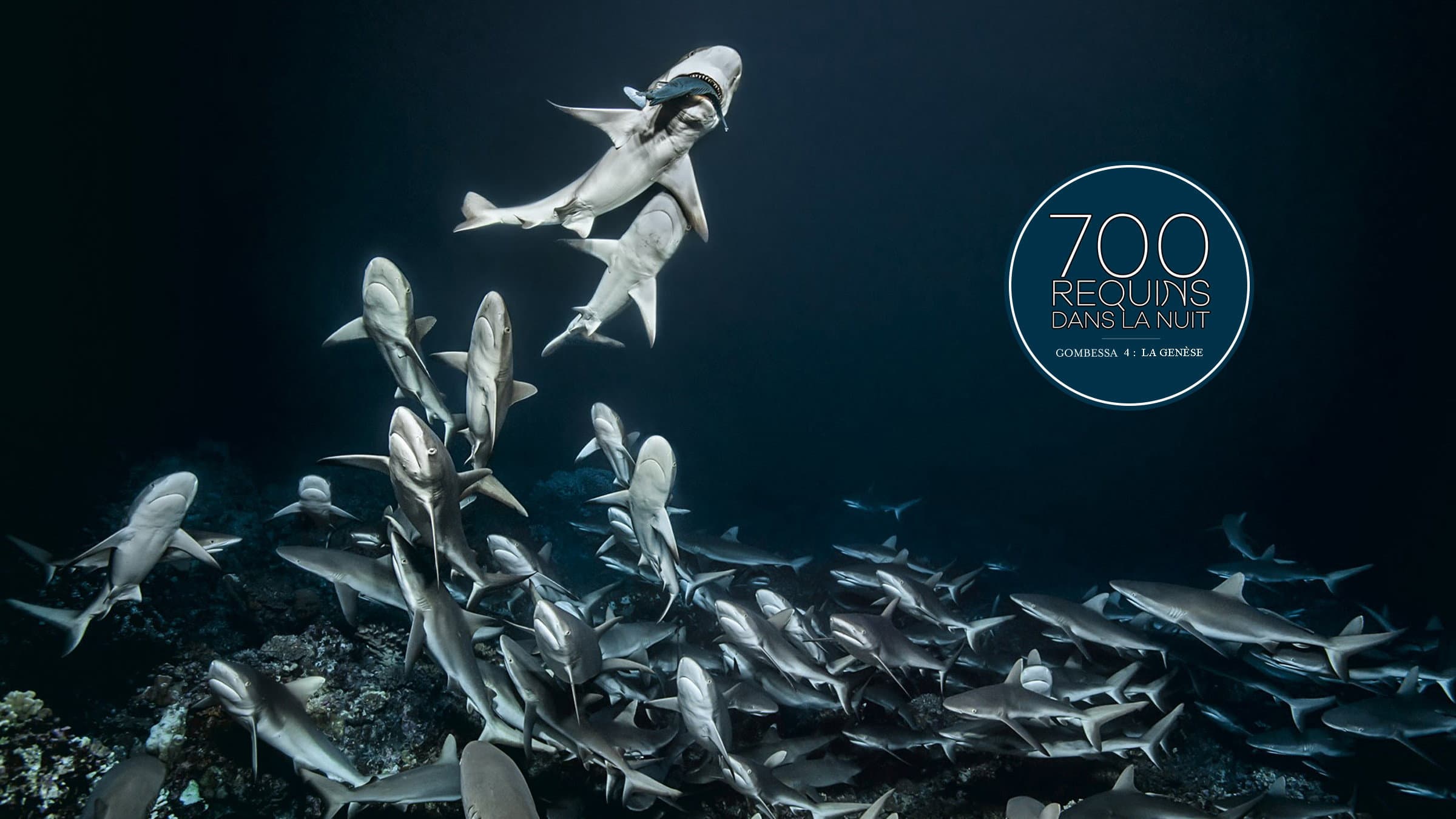 700 requins dans la nuit (Gombessa 4, la genèse)