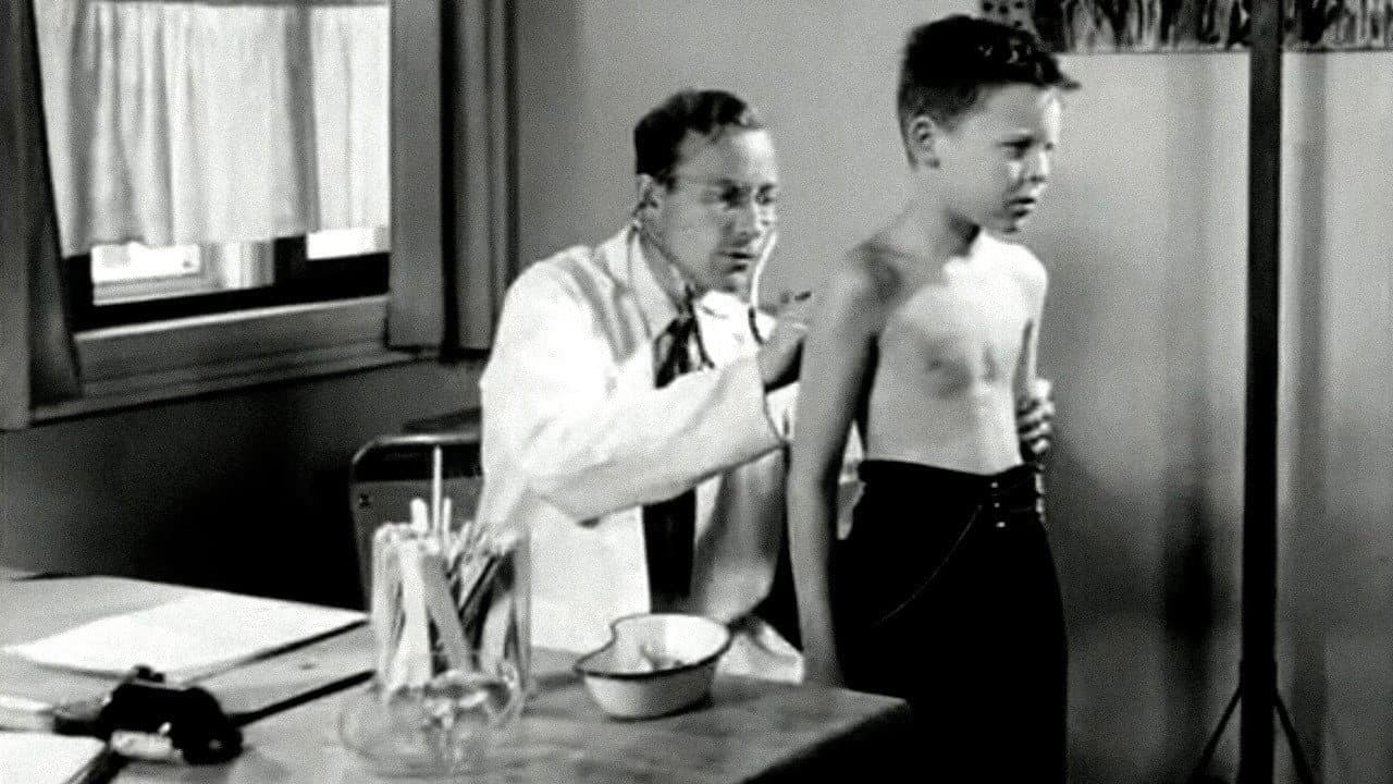 Oslofilm: Sommerparadiset