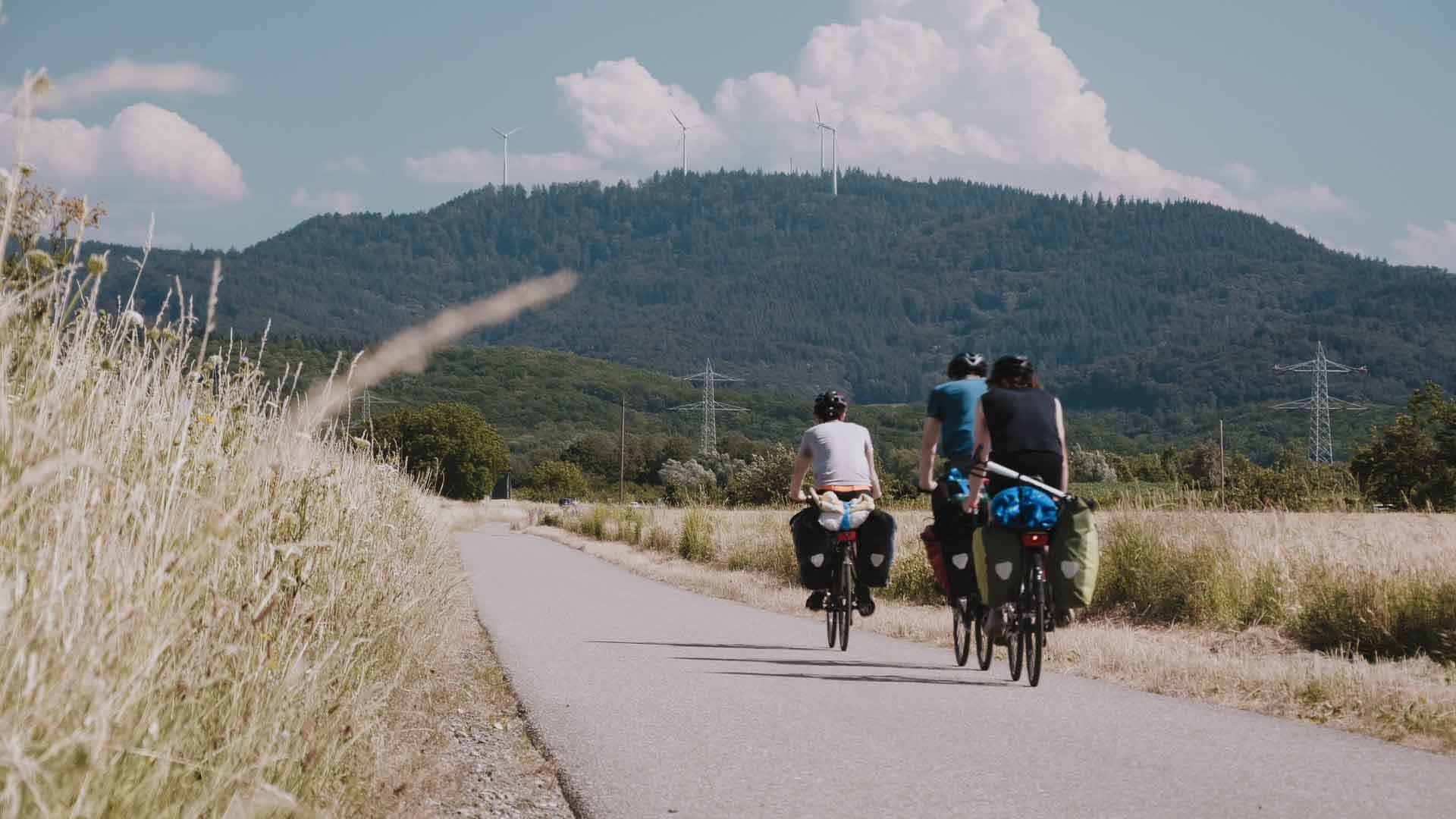 BE WILD - DIE NORMALITÄT IST RADIKAL