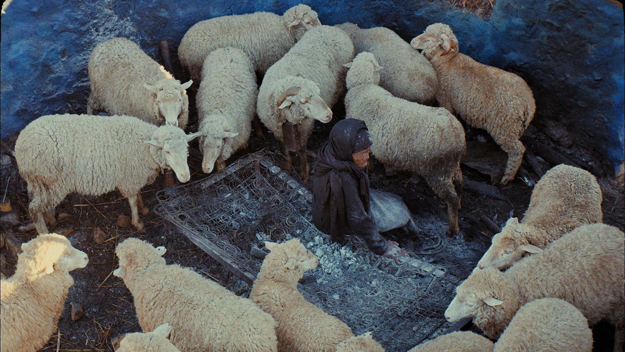ليس دفناً، إنما القيامة