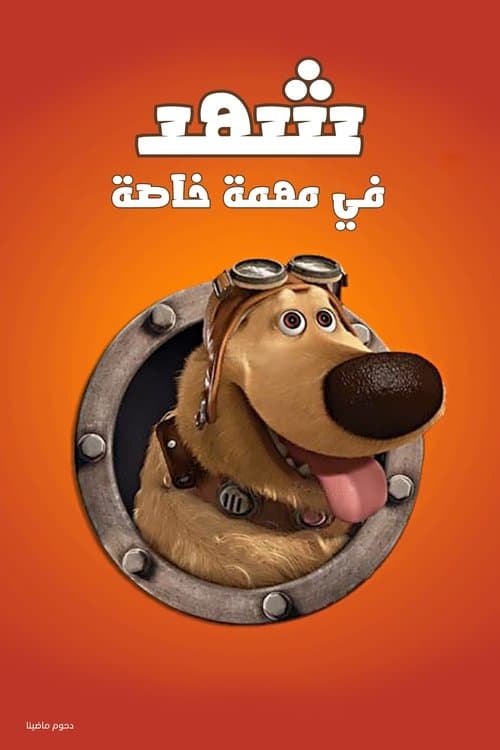 شهد في مهمة خاصة